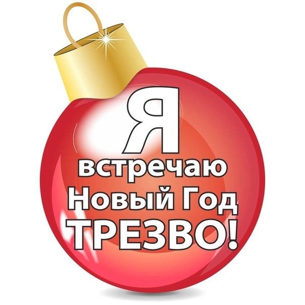 В Новосибирской Епархии проходит акция «Трезво встретим Новый год 2017»