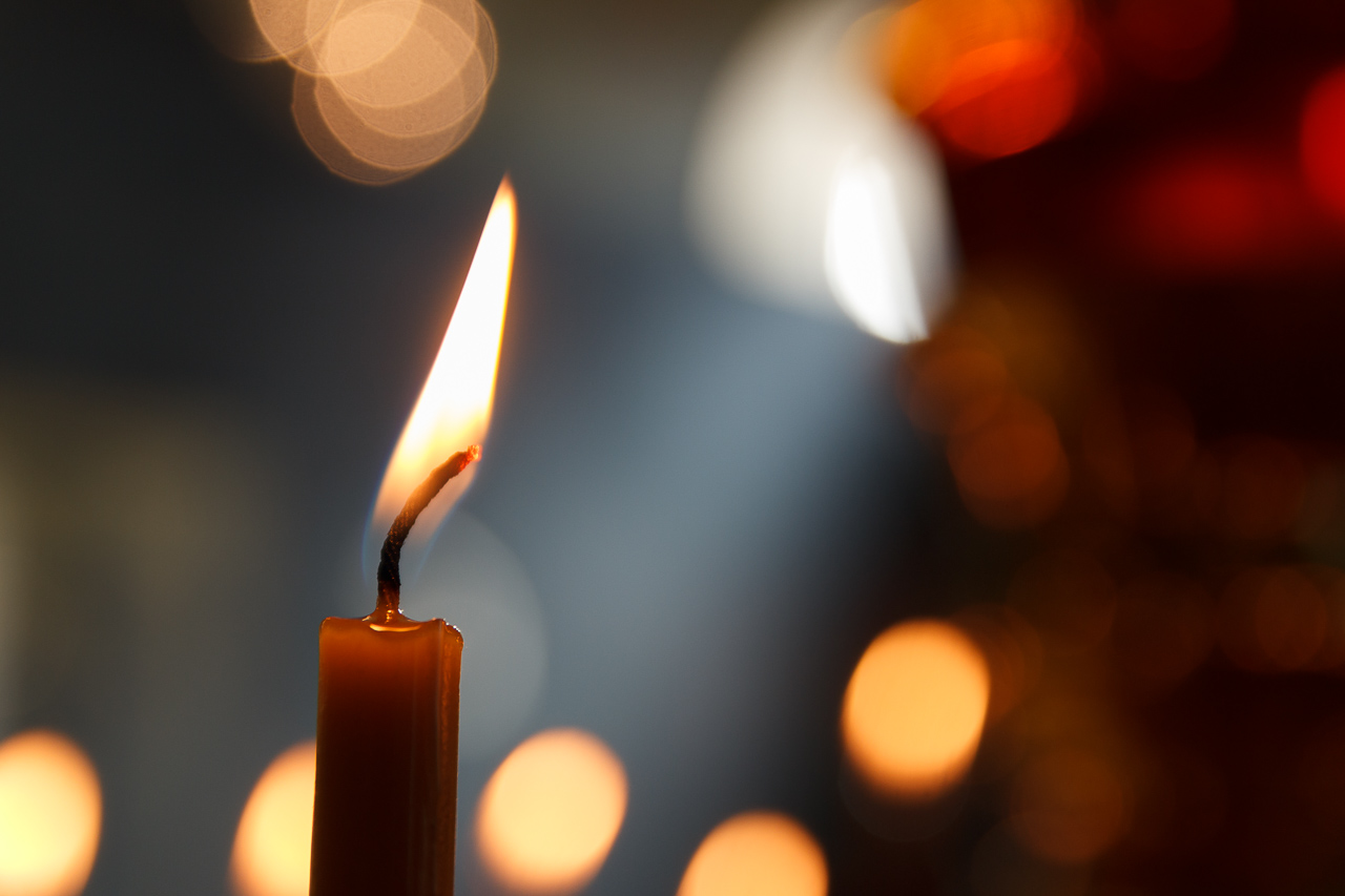 Соболезнование митрополита Никодима в связи с терактом в «Крокус Сити Холле»